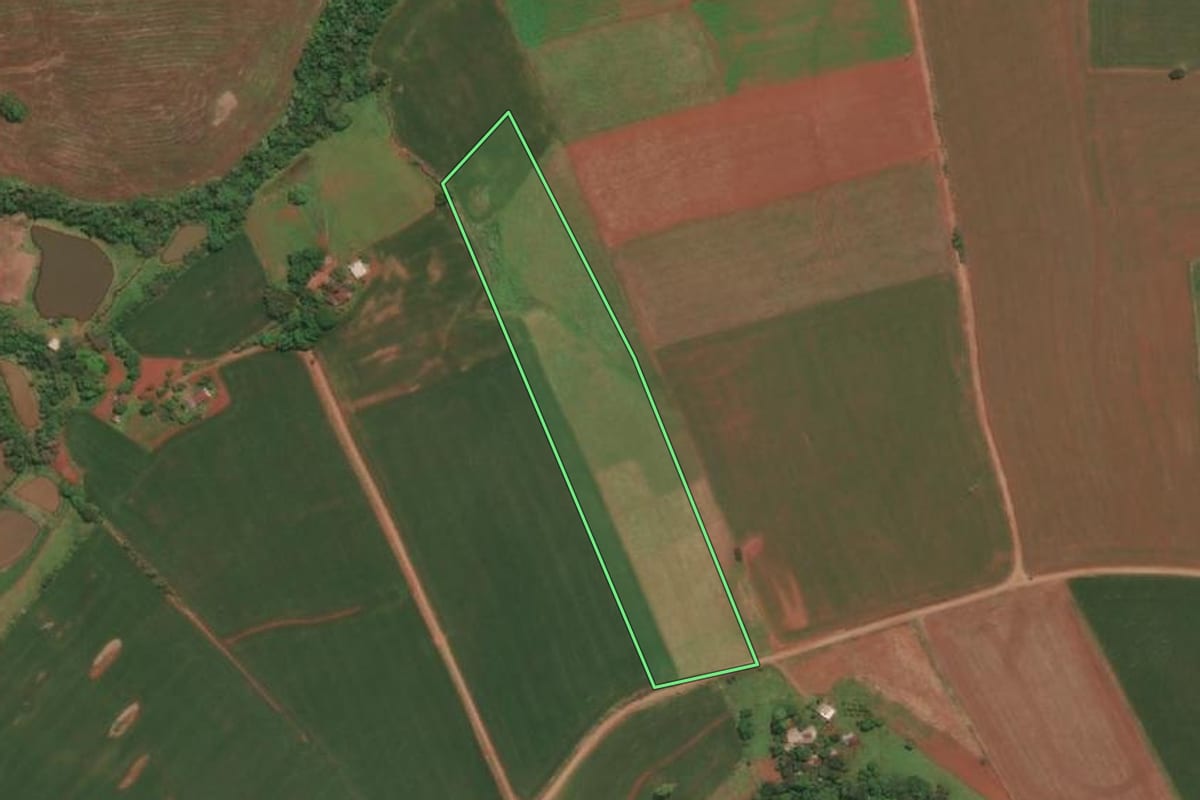 Imagem de satélite do imóvel rural em Bom Progresso (RS), com o contorno declarado no CAR desenhado por cima.