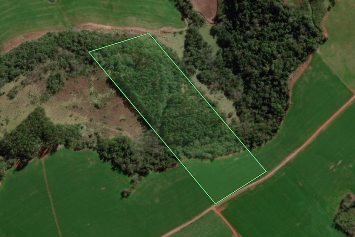 Imagem de satélite do imóvel rural em Bom Progresso (RS), com o contorno declarado no CAR desenhado por cima.