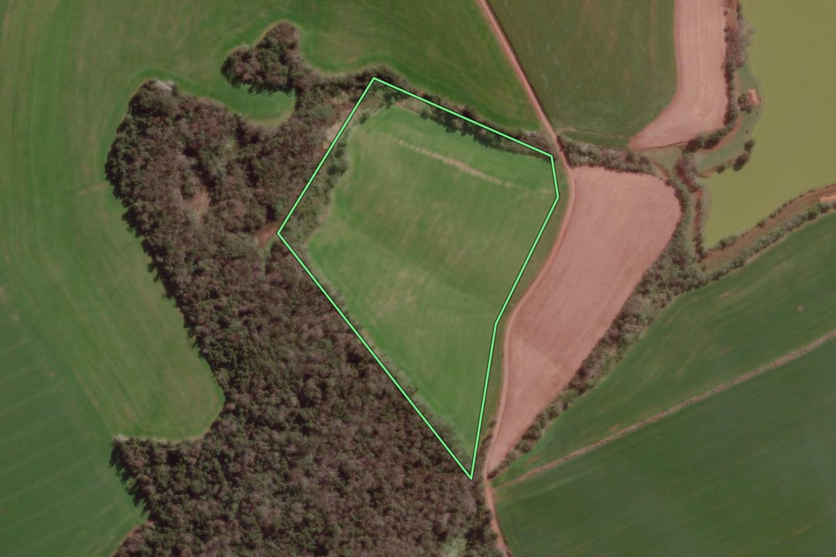 Imagem de satélite do imóvel rural em Bom Progresso (RS), com o contorno declarado no CAR desenhado por cima.