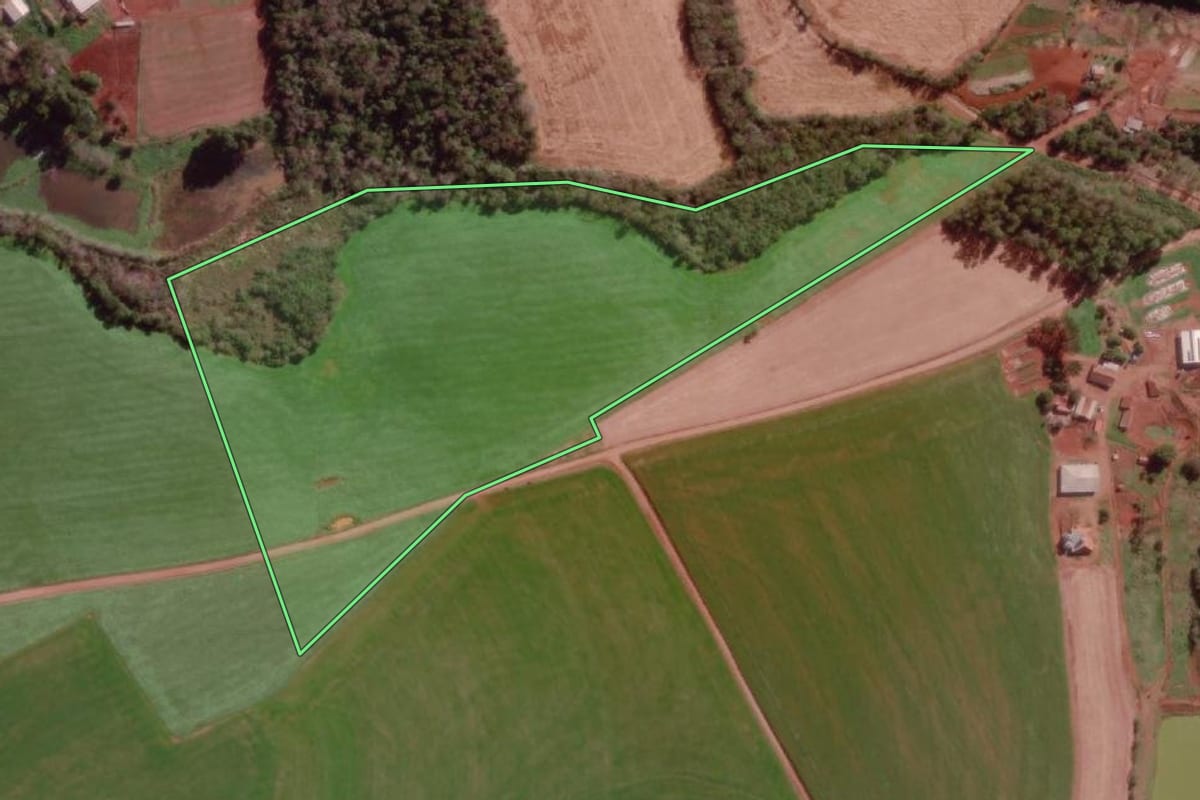 Imagem de satélite do imóvel rural em Bom Progresso (RS), com o contorno declarado no CAR desenhado por cima.