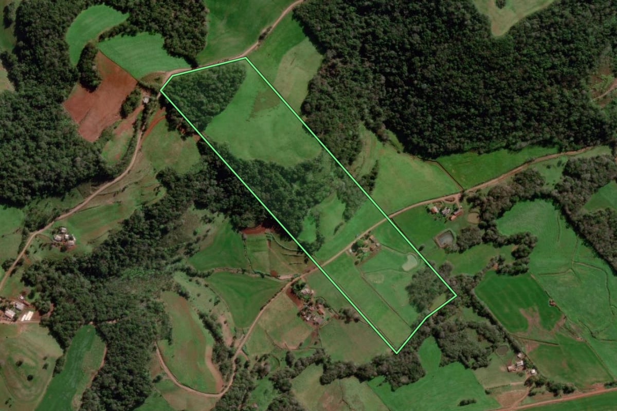Imagem de satélite do imóvel rural em Bom Progresso (RS), com o contorno declarado no CAR desenhado por cima.