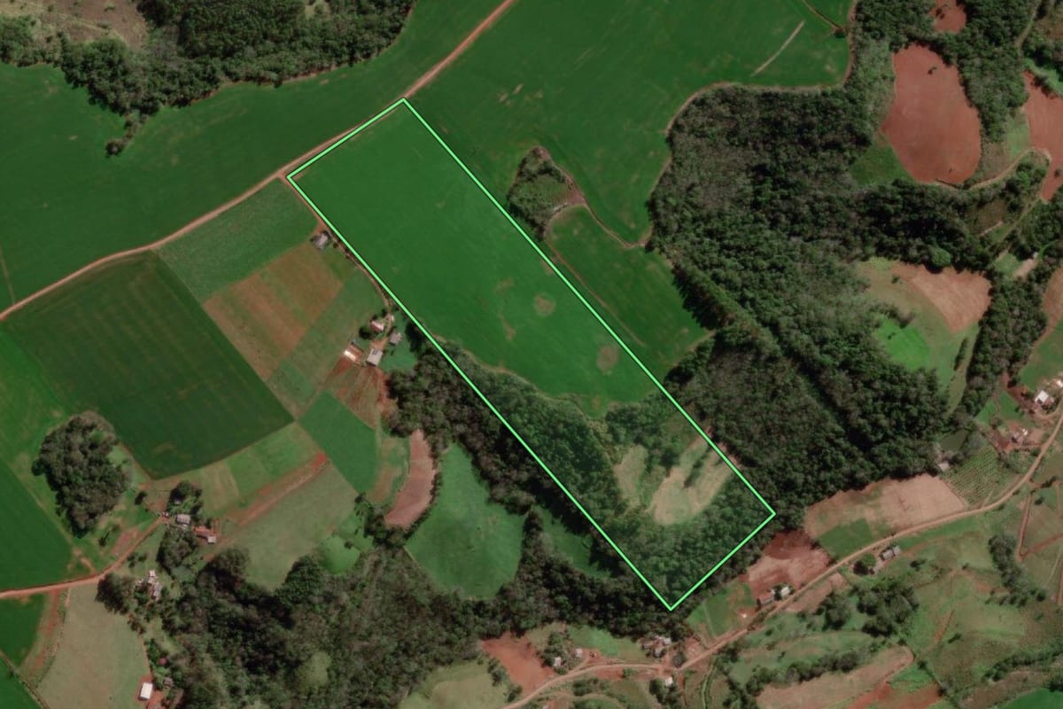 Imagem de satélite do imóvel rural em Bom Progresso (RS), com o contorno declarado no CAR desenhado por cima.