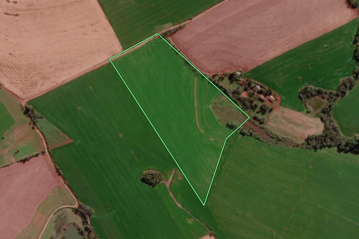 Imagem de satélite do imóvel rural em Bom Progresso (RS), com o contorno declarado no CAR desenhado por cima.