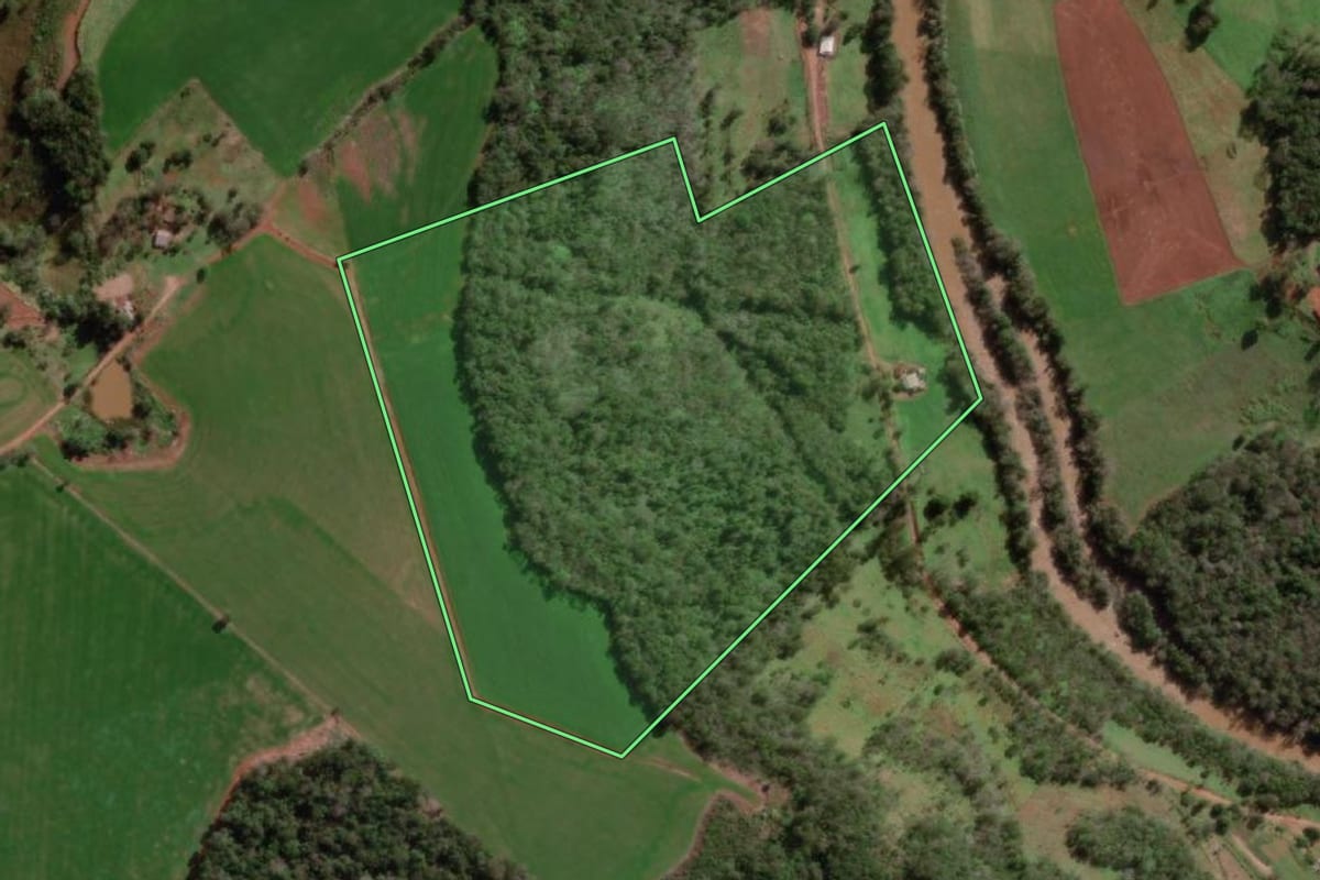 Imagem de satélite do imóvel rural em Bom Progresso (RS), com o contorno declarado no CAR desenhado por cima.