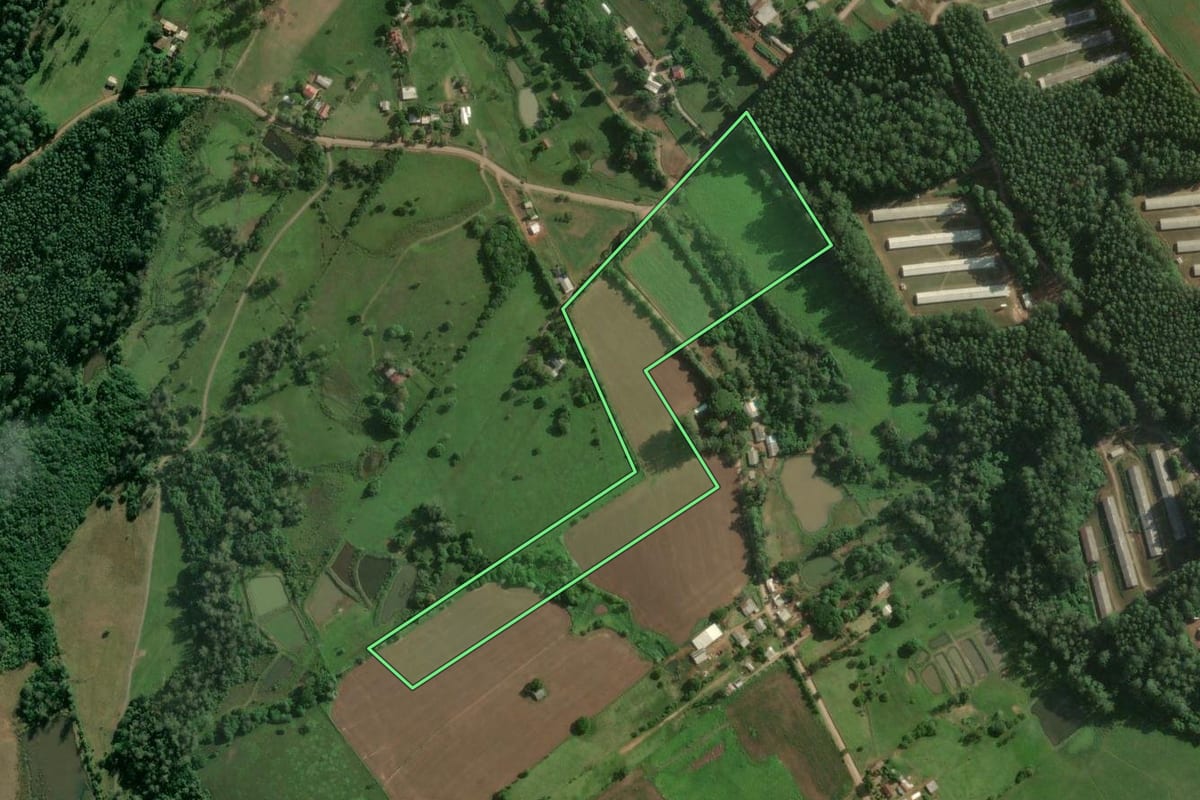 Imagem de satélite do imóvel rural em Bom Retiro do Sul (RS), com o contorno declarado no CAR desenhado por cima.
