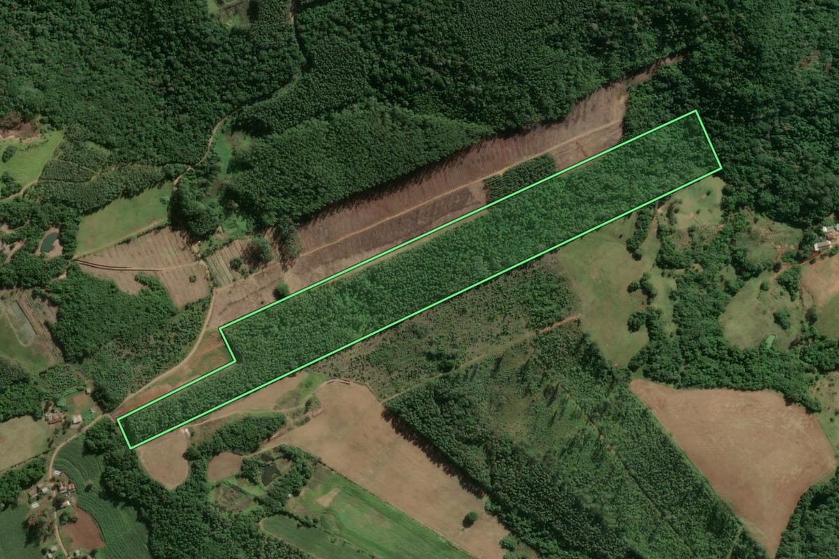 Imagem de satélite do imóvel rural em Bom Retiro do Sul (RS), com o contorno declarado no CAR desenhado por cima.