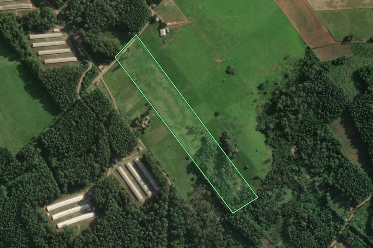 Imagem de satélite do imóvel rural em Bom Retiro do Sul (RS), com o contorno declarado no CAR desenhado por cima.