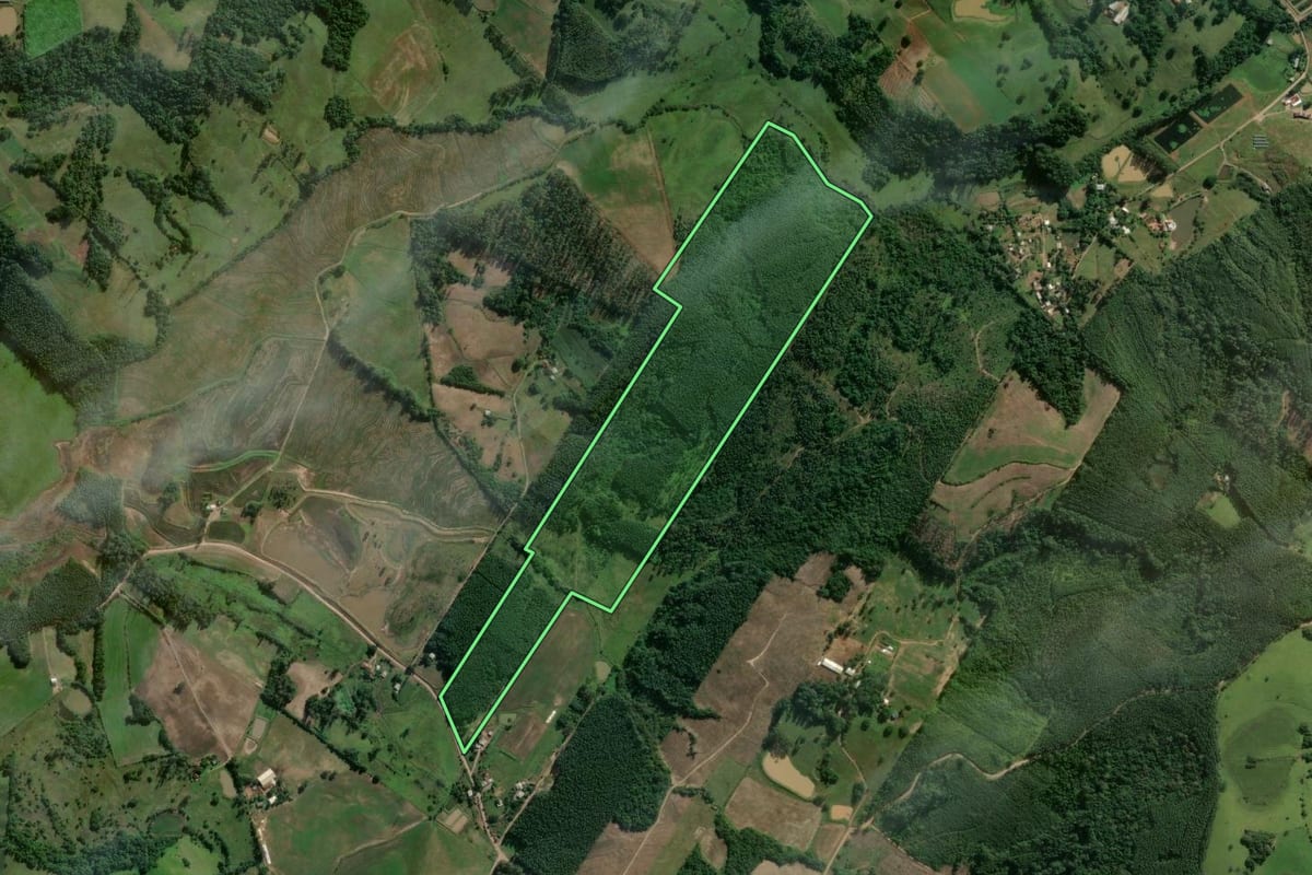Imagem de satélite do imóvel rural em Bom Retiro do Sul (RS), com o contorno declarado no CAR desenhado por cima.
