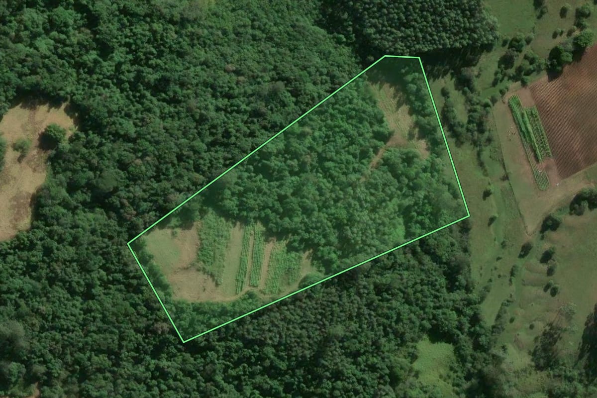 Imagem de satélite do imóvel rural em Bom Retiro do Sul (RS), com o contorno declarado no CAR desenhado por cima.