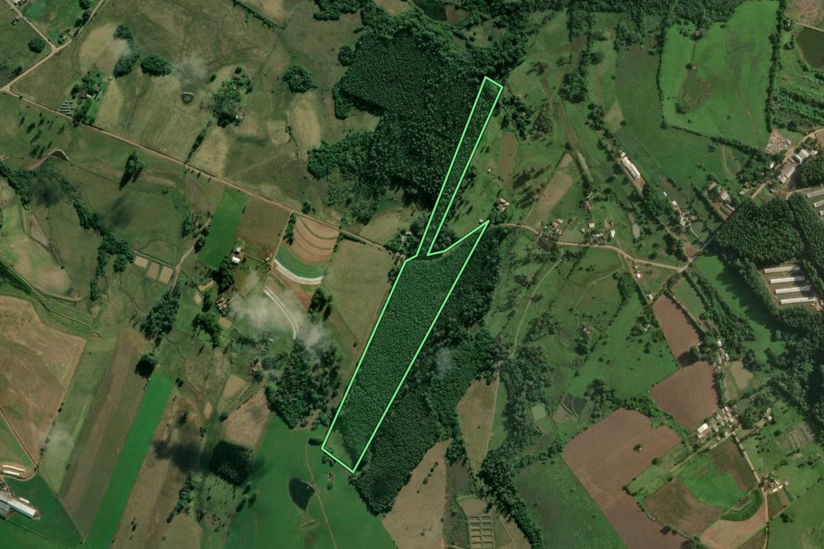 Imagem de satélite do imóvel rural em Bom Retiro do Sul (RS), com o contorno declarado no CAR desenhado por cima.
