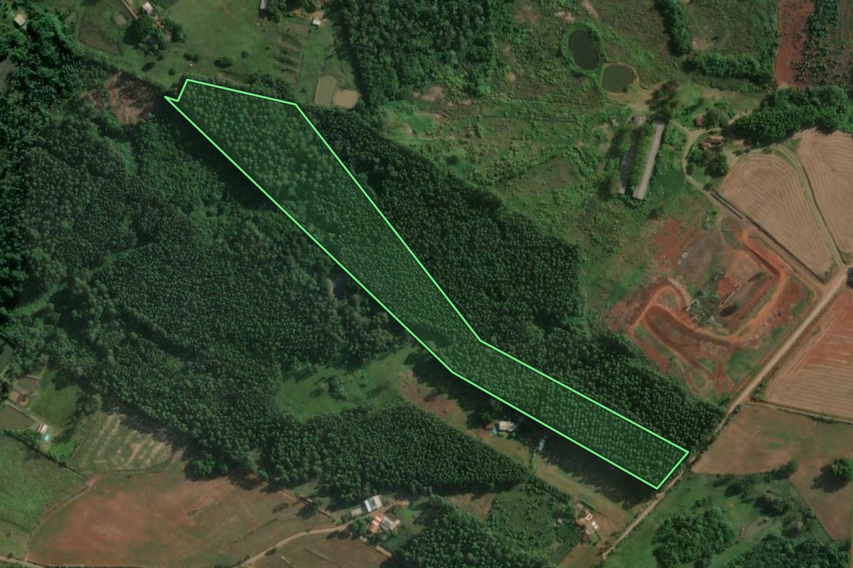 Imagem de satélite do imóvel rural em Bom Retiro do Sul (RS), com o contorno declarado no CAR desenhado por cima.