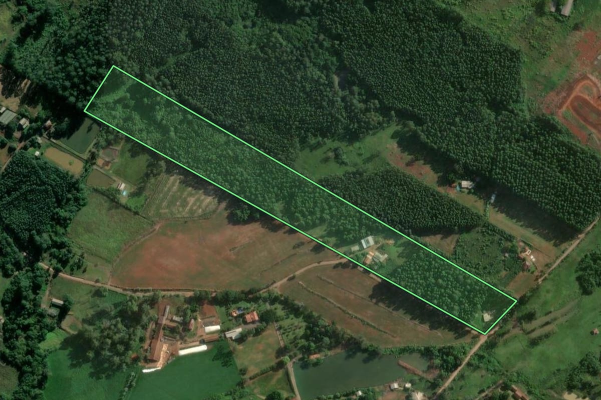 Imagem de satélite do imóvel rural em Bom Retiro do Sul (RS), com o contorno declarado no CAR desenhado por cima.
