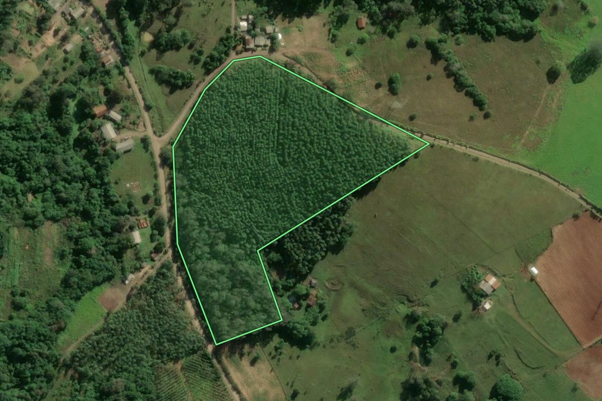 Imagem de satélite do imóvel rural em Bom Retiro do Sul (RS), com o contorno declarado no CAR desenhado por cima.