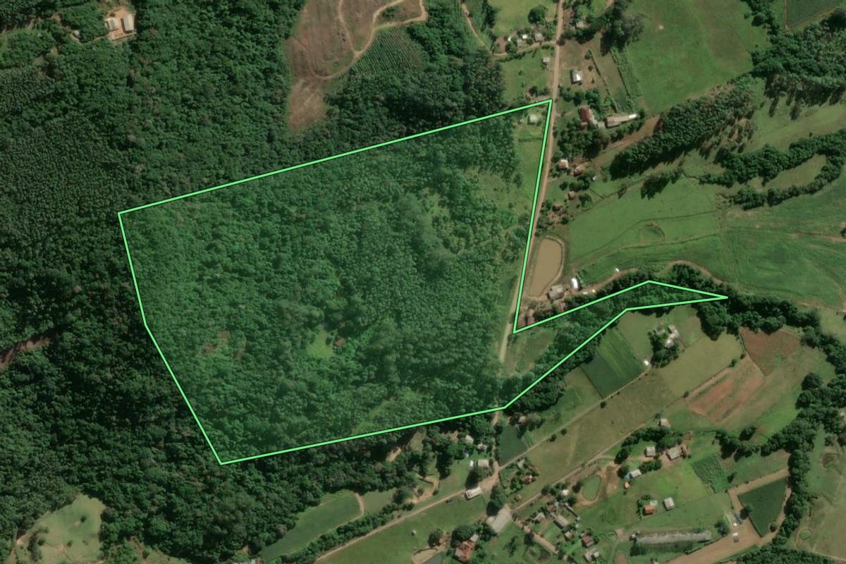 Imagem de satélite do imóvel rural em Bom Retiro do Sul (RS), com o contorno declarado no CAR desenhado por cima.