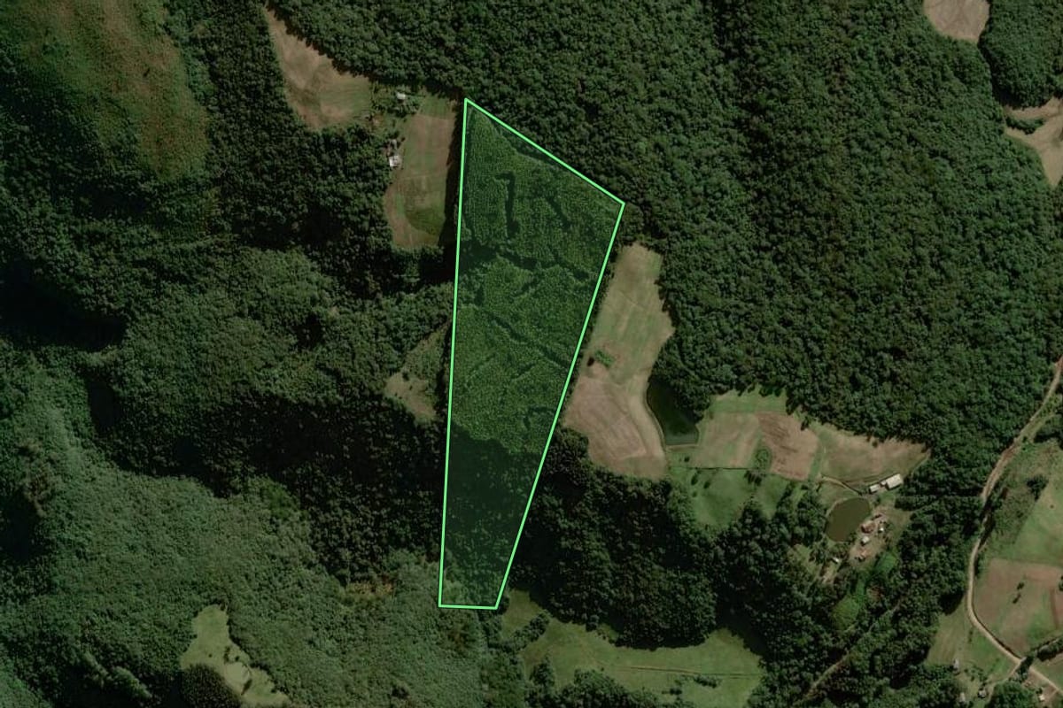 Imagem de satélite do imóvel rural em Boqueirão do Leão (RS), com o contorno declarado no CAR desenhado por cima.