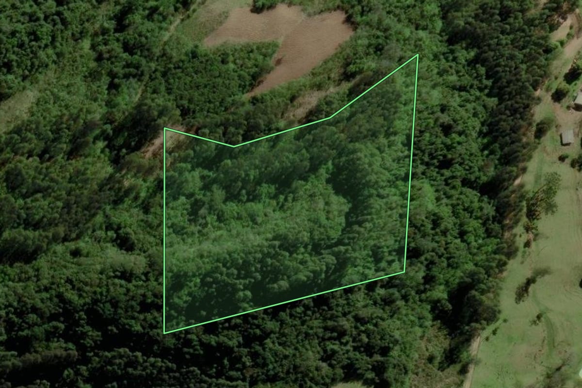 Imagem de satélite do imóvel rural em Boqueirão do Leão (RS), com o contorno declarado no CAR desenhado por cima.