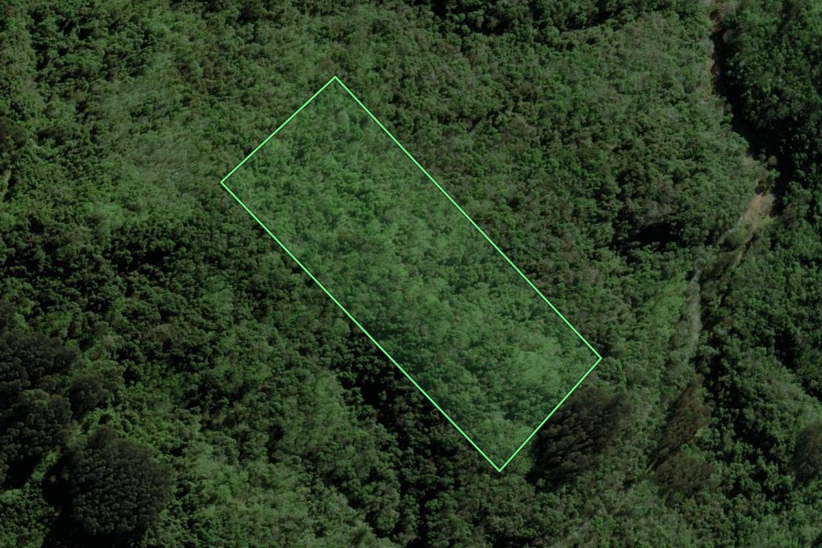 Imagem de satélite do imóvel rural em Boqueirão do Leão (RS), com o contorno declarado no CAR desenhado por cima.