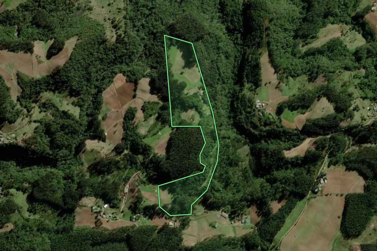 Imagem de satélite do imóvel rural em Boqueirão do Leão (RS), com o contorno declarado no CAR desenhado por cima.