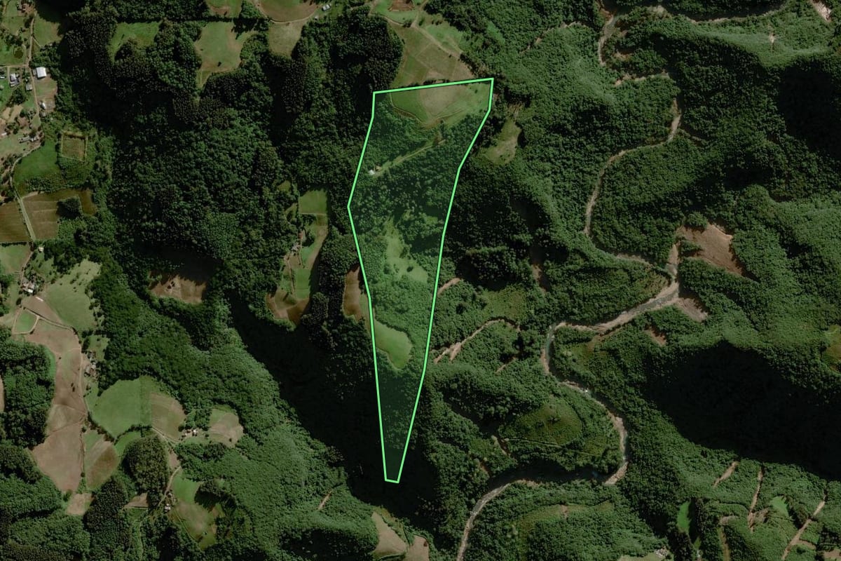 Imagem de satélite do imóvel rural em Boqueirão do Leão (RS), com o contorno declarado no CAR desenhado por cima.