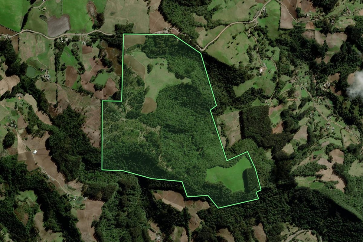 Imagem de satélite do imóvel rural em Boqueirão do Leão (RS), com o contorno declarado no CAR desenhado por cima.