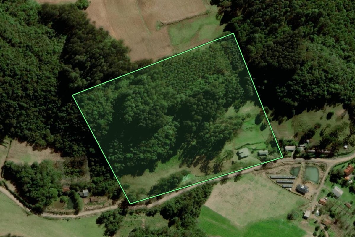 Imagem de satélite do imóvel rural em Boqueirão do Leão (RS), com o contorno declarado no CAR desenhado por cima.