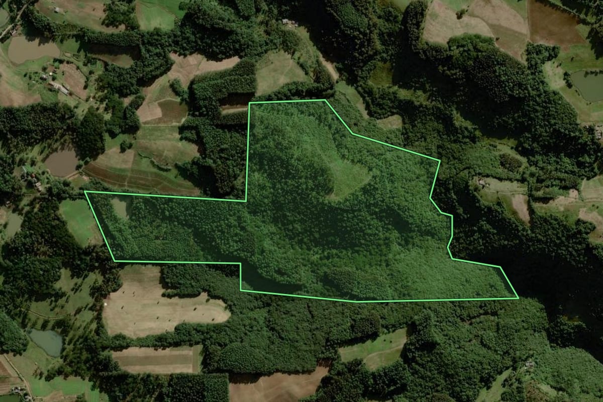 Imagem de satélite do imóvel rural em Boqueirão do Leão (RS), com o contorno declarado no CAR desenhado por cima.