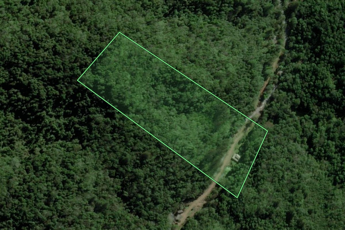Imagem de satélite do imóvel rural em Boqueirão do Leão (RS), com o contorno declarado no CAR desenhado por cima.
