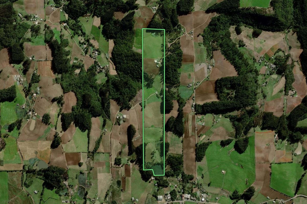 Imagem de satélite do imóvel rural em Boqueirão do Leão (RS), com o contorno declarado no CAR desenhado por cima.