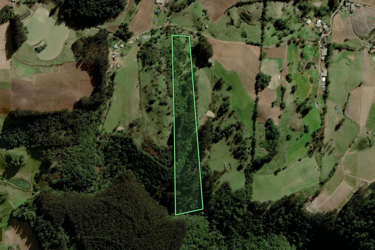 Imagem de satélite do imóvel rural em Boqueirão do Leão (RS), com o contorno declarado no CAR desenhado por cima.