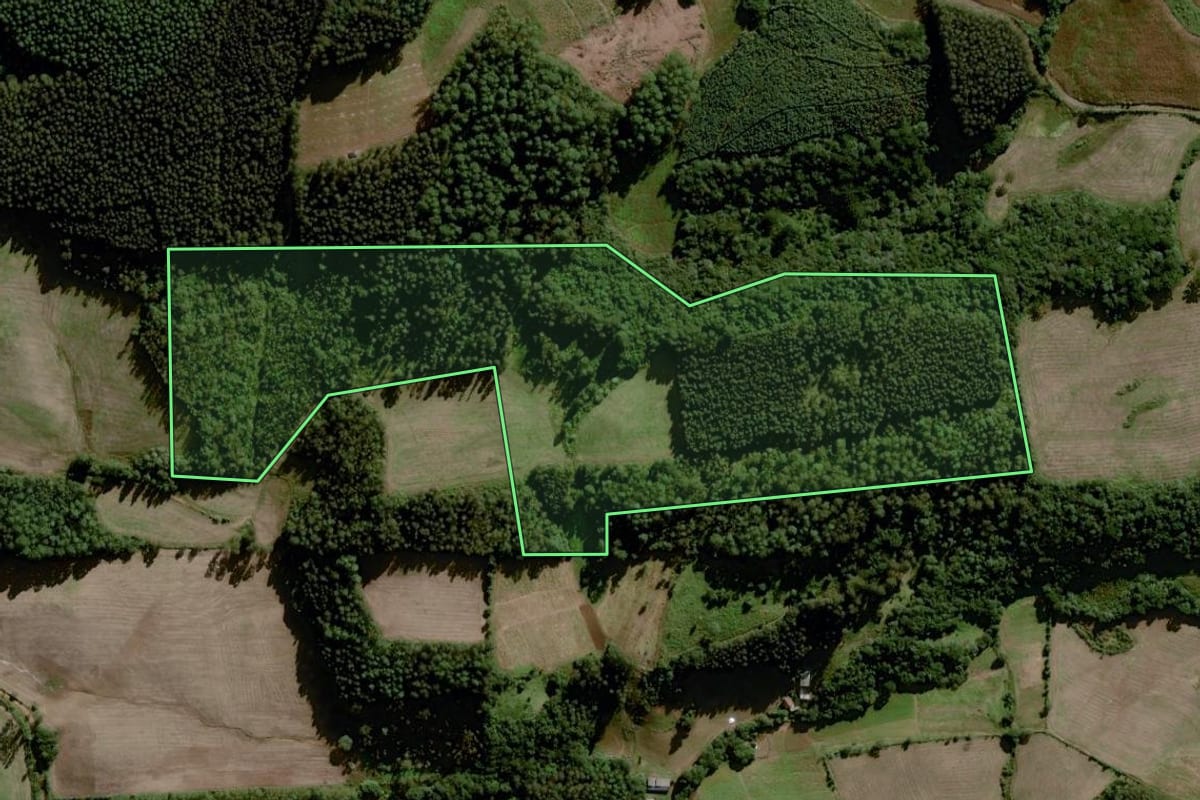 Imagem de satélite do imóvel rural em Boqueirão do Leão (RS), com o contorno declarado no CAR desenhado por cima.
