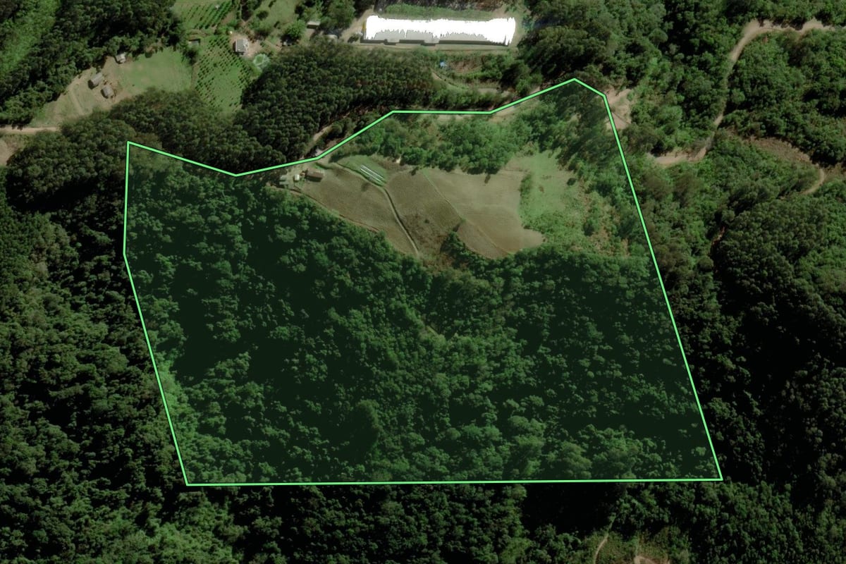 Imagem de satélite do imóvel rural em Boqueirão do Leão (RS), com o contorno declarado no CAR desenhado por cima.