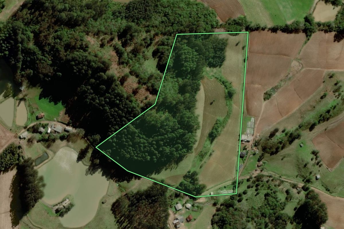 Imagem de satélite do imóvel rural em Boqueirão do Leão (RS), com o contorno declarado no CAR desenhado por cima.