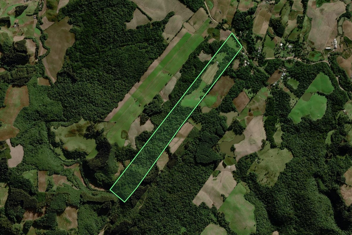 Imagem de satélite do imóvel rural em Boqueirão do Leão (RS), com o contorno declarado no CAR desenhado por cima.