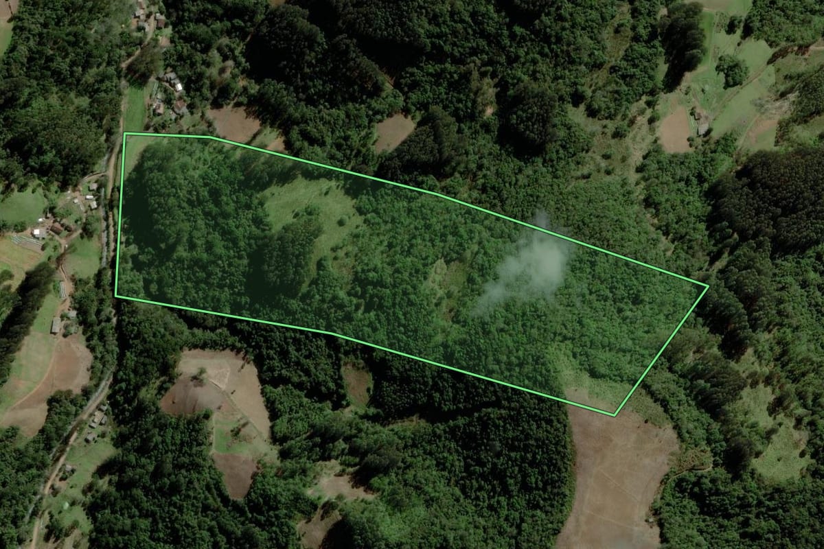 Imagem de satélite do imóvel rural em Boqueirão do Leão (RS), com o contorno declarado no CAR desenhado por cima.
