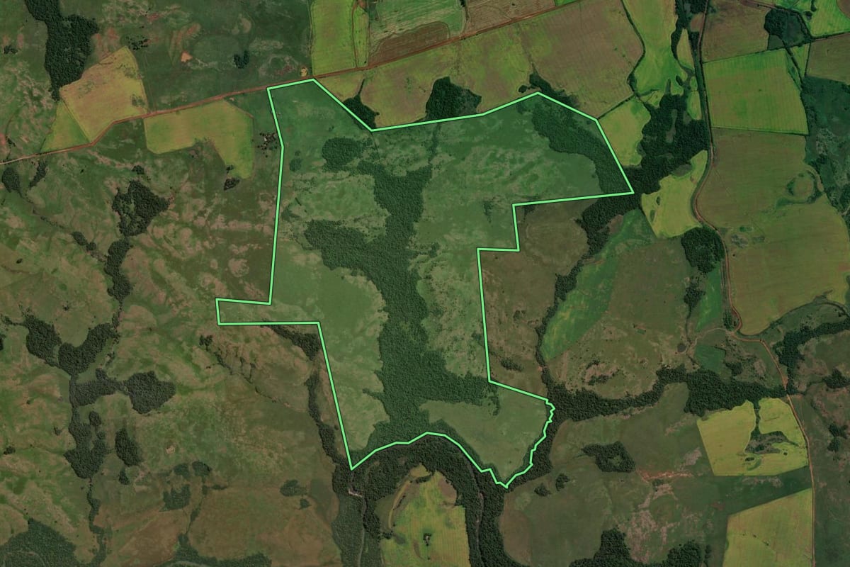 Imagem de satélite do imóvel rural em Bossoroca (RS), com o contorno declarado no CAR desenhado por cima.
