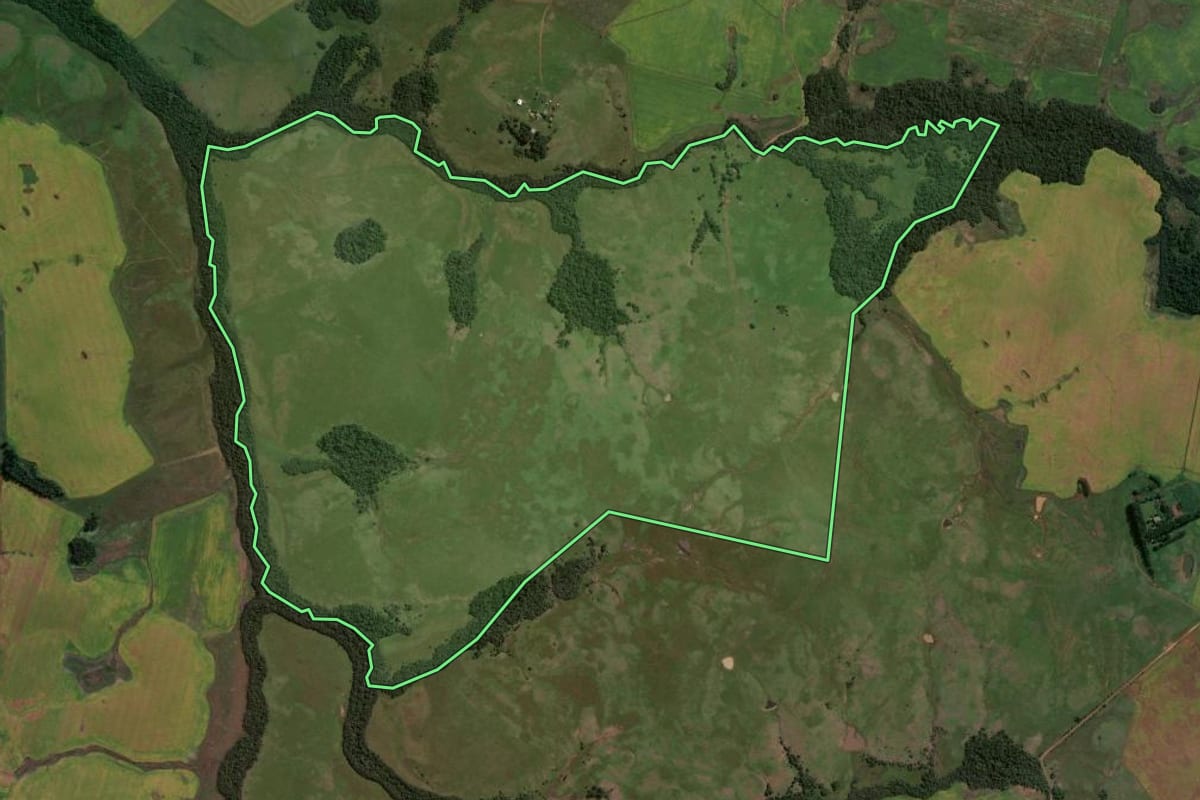 Imagem de satélite do imóvel rural em Bossoroca (RS), com o contorno declarado no CAR desenhado por cima.