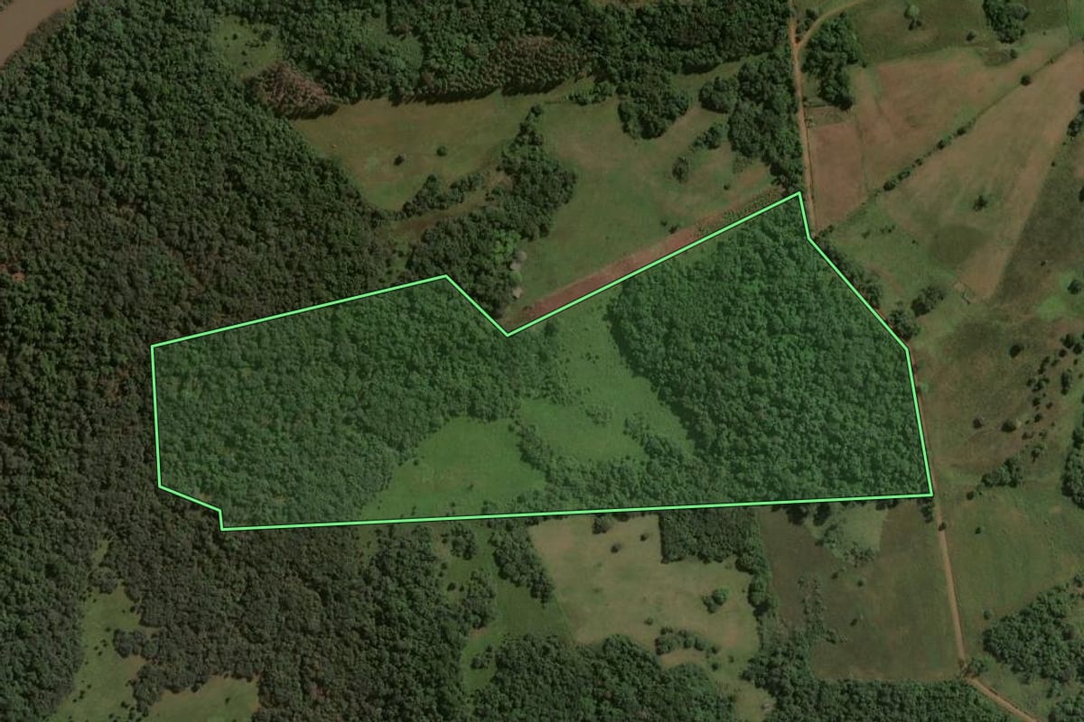 Imagem de satélite do imóvel rural em Bossoroca (RS), com o contorno declarado no CAR desenhado por cima.