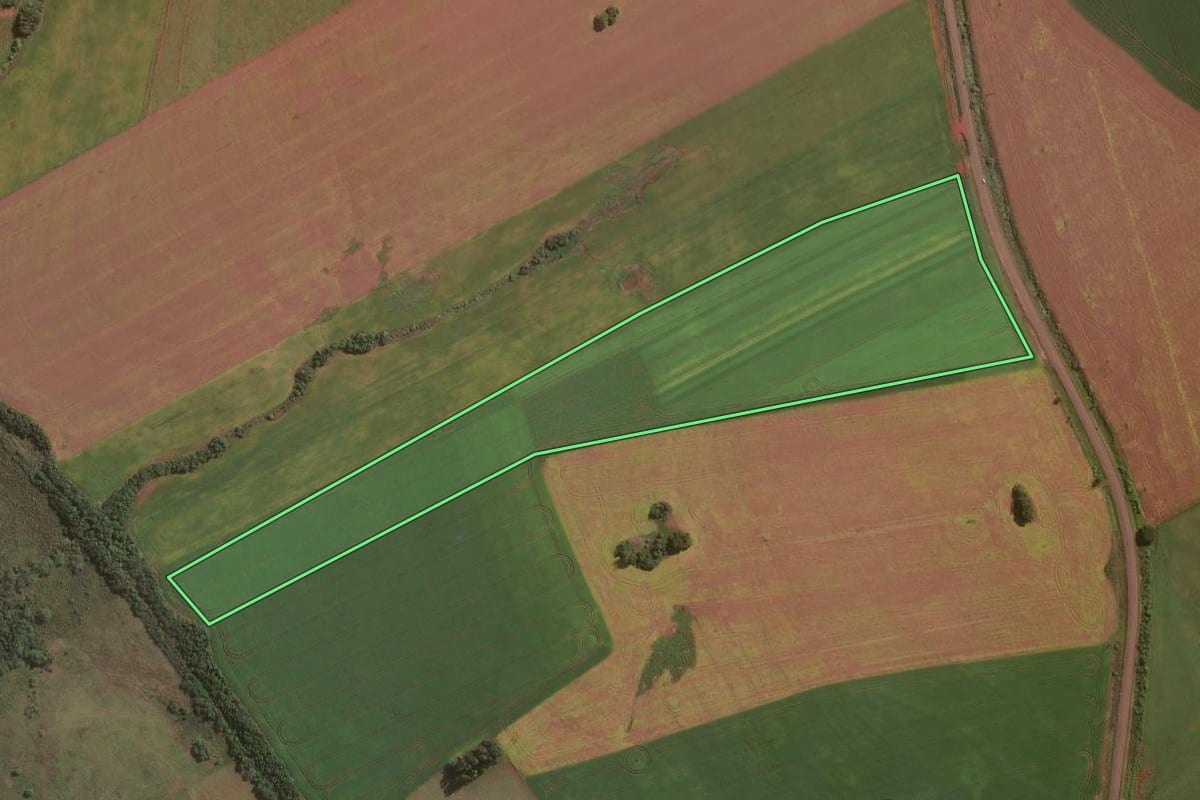 Imagem de satélite do imóvel rural em Bossoroca (RS), com o contorno declarado no CAR desenhado por cima.
