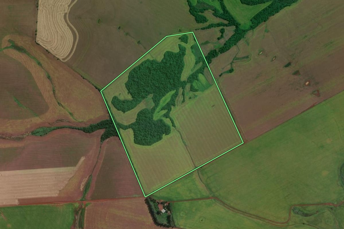 Imagem de satélite do imóvel rural em Bossoroca (RS), com o contorno declarado no CAR desenhado por cima.