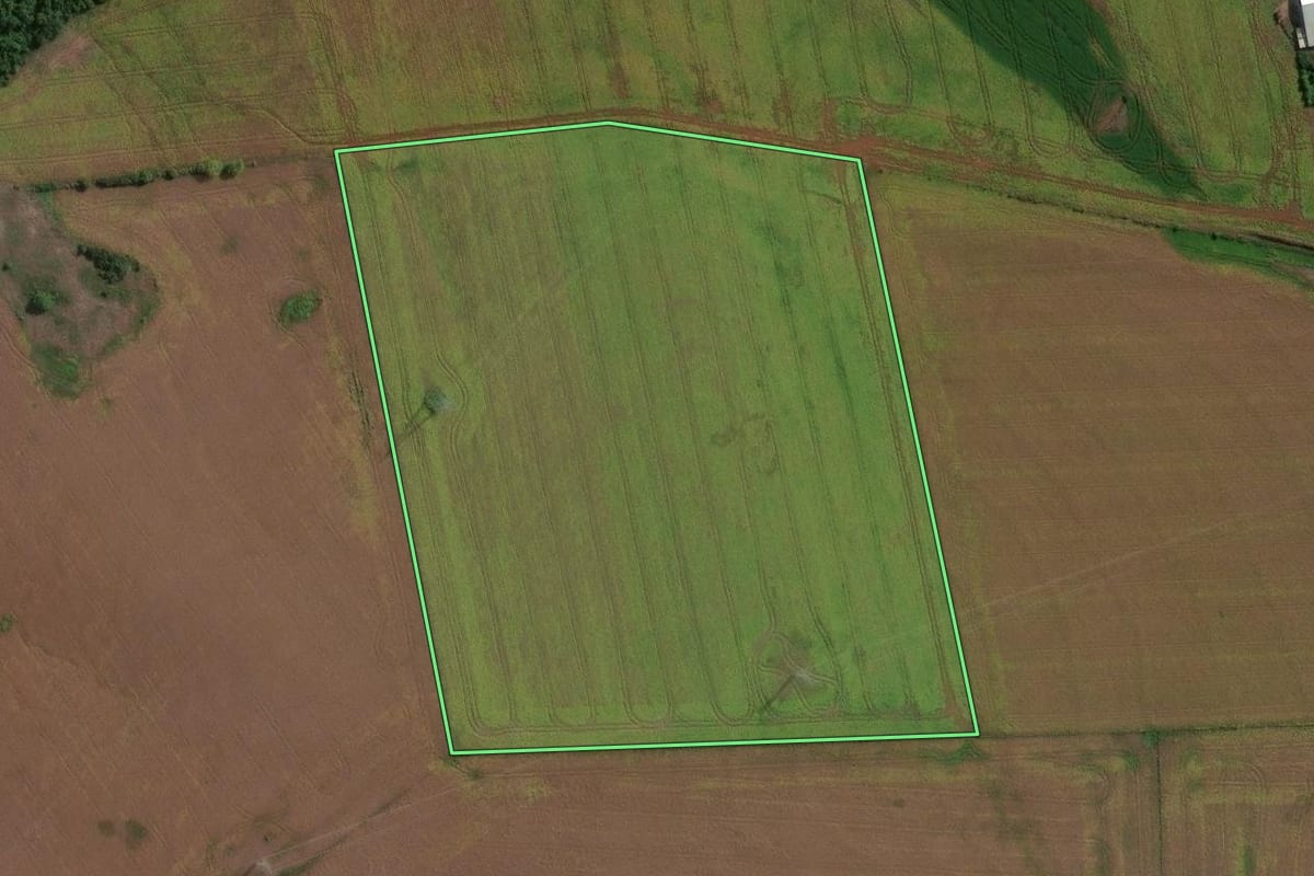 Imagem de satélite do imóvel rural em Bossoroca (RS), com o contorno declarado no CAR desenhado por cima.