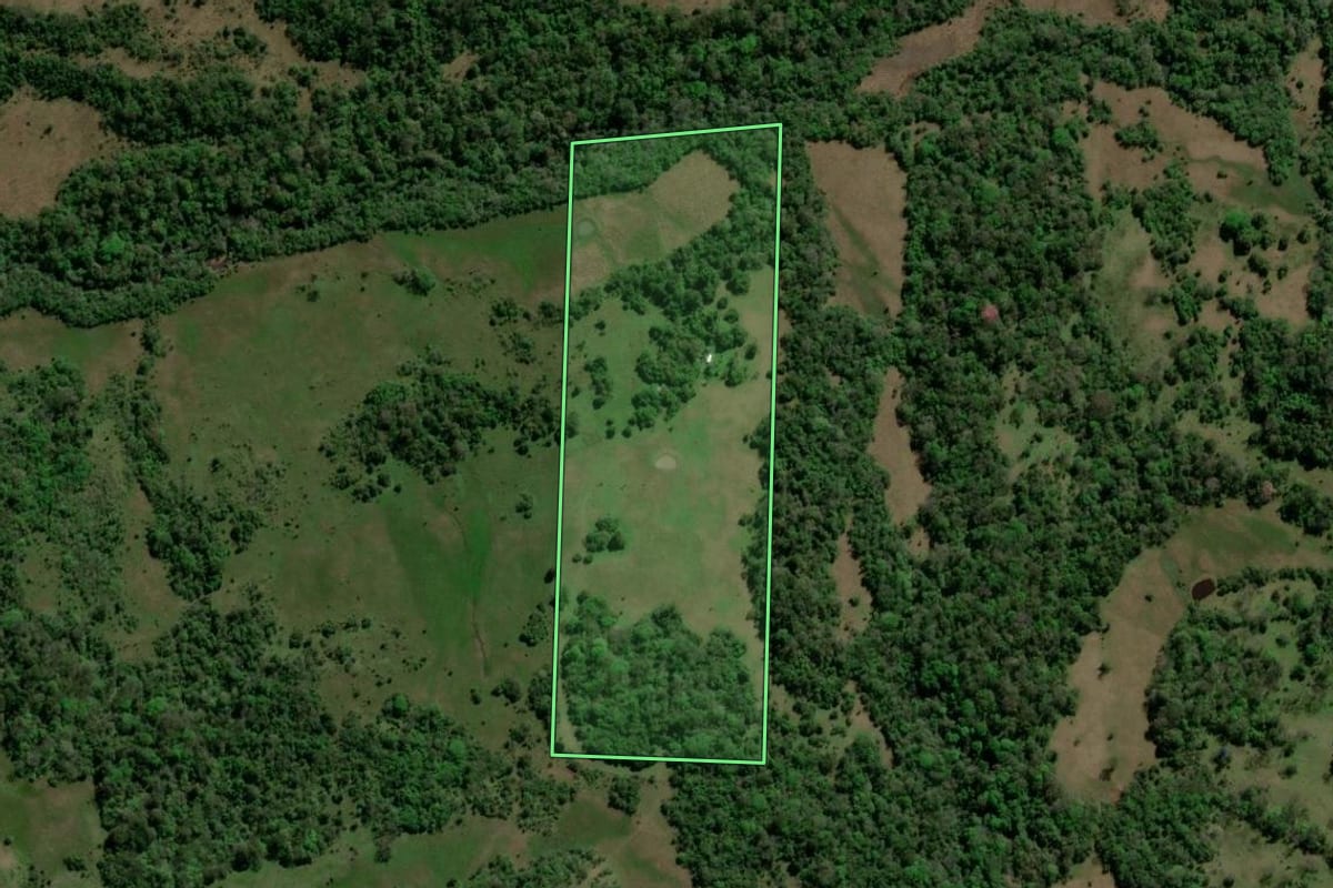 Imagem de satélite do imóvel rural em Bossoroca (RS), com o contorno declarado no CAR desenhado por cima.