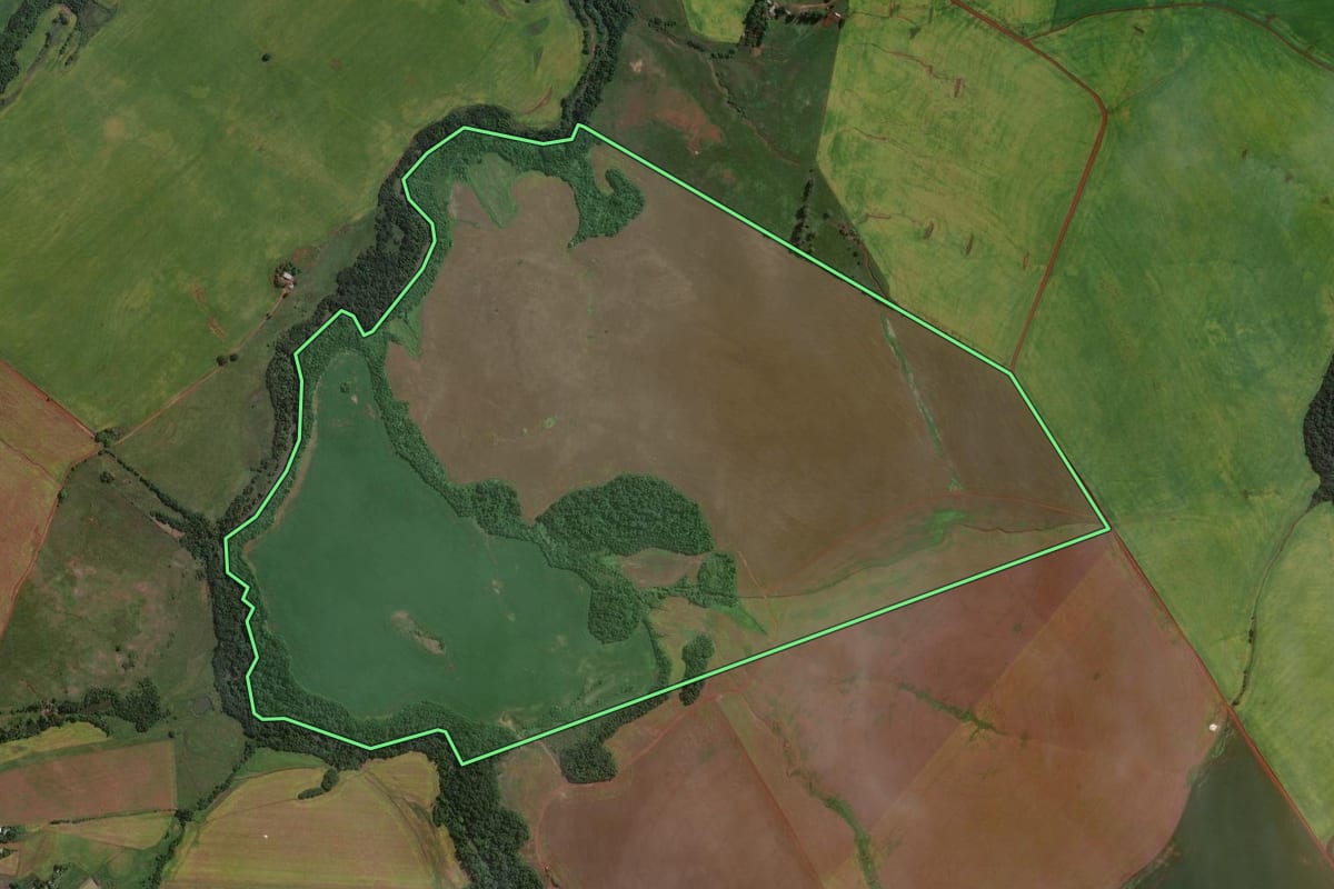 Imagem de satélite do imóvel rural em Bossoroca (RS), com o contorno declarado no CAR desenhado por cima.