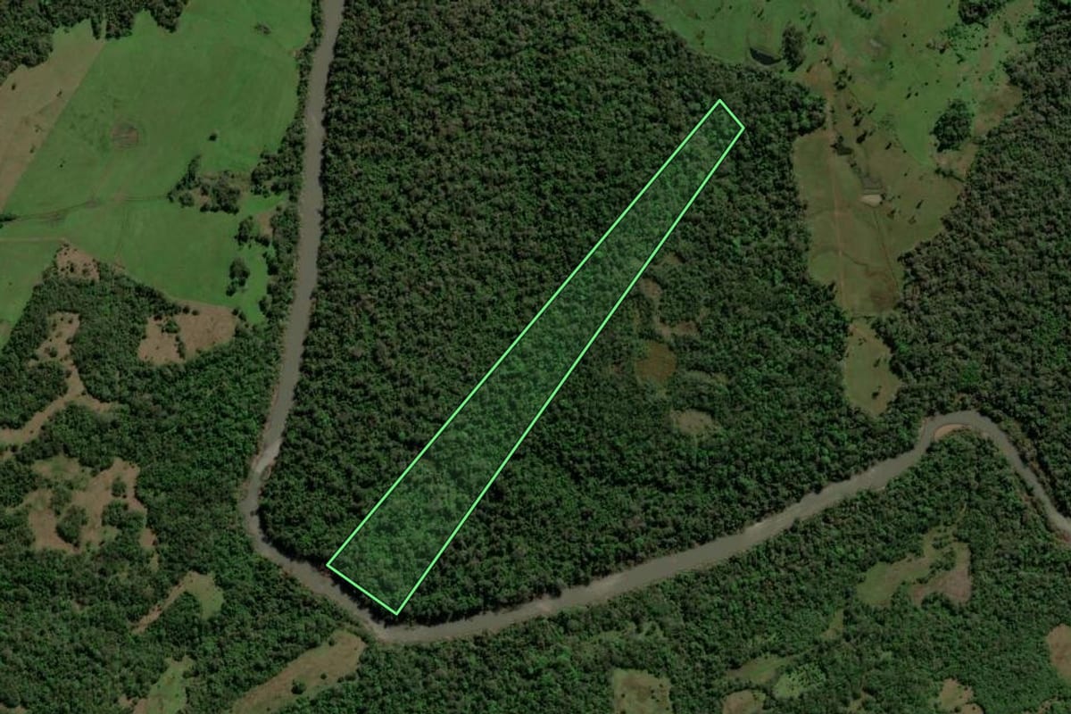 Imagem de satélite do imóvel rural em Bossoroca (RS), com o contorno declarado no CAR desenhado por cima.
