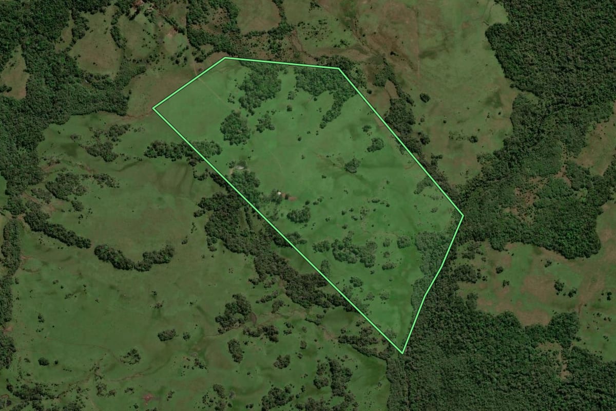 Imagem de satélite do imóvel rural em Bossoroca (RS), com o contorno declarado no CAR desenhado por cima.