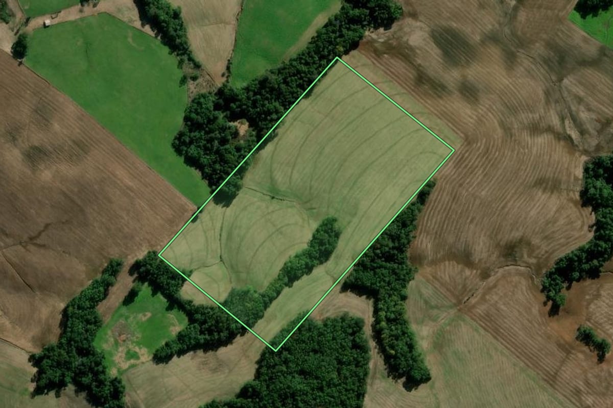 Imagem de satélite do imóvel rural em Bozano (RS), com o contorno declarado no CAR desenhado por cima.