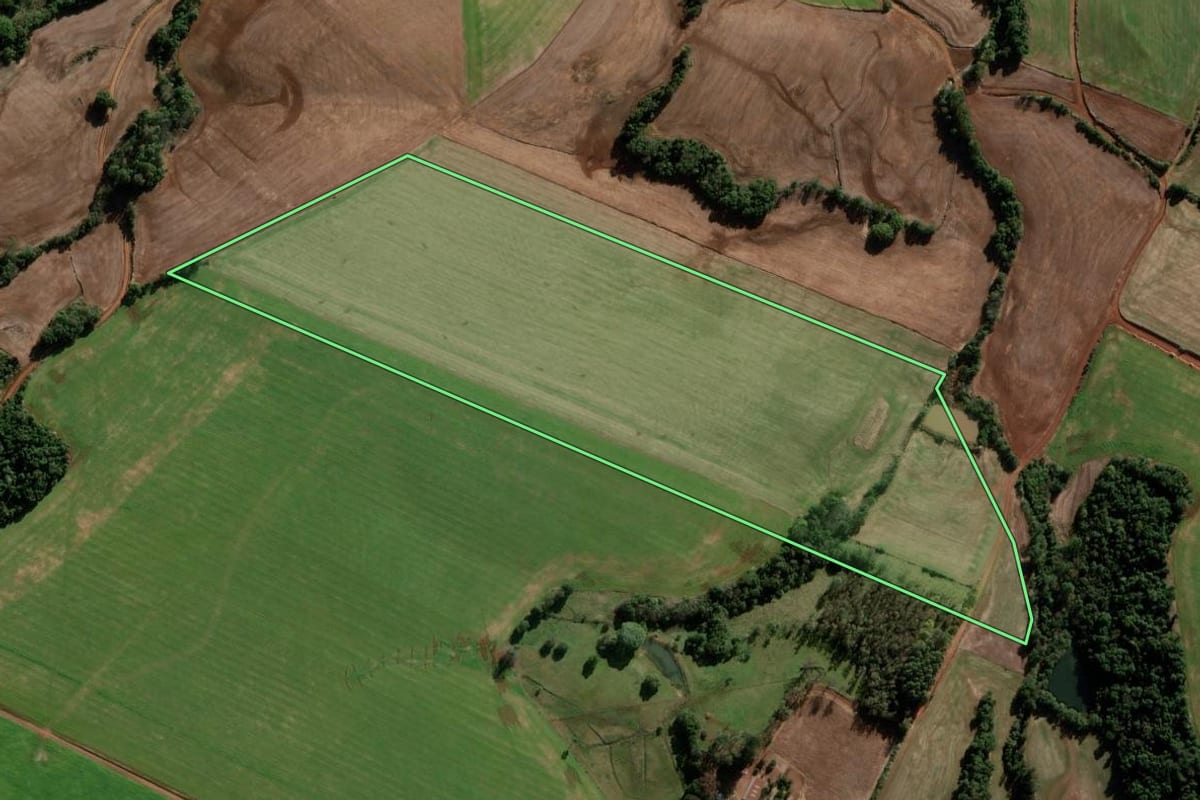 Imagem de satélite do imóvel rural em Bozano (RS), com o contorno declarado no CAR desenhado por cima.