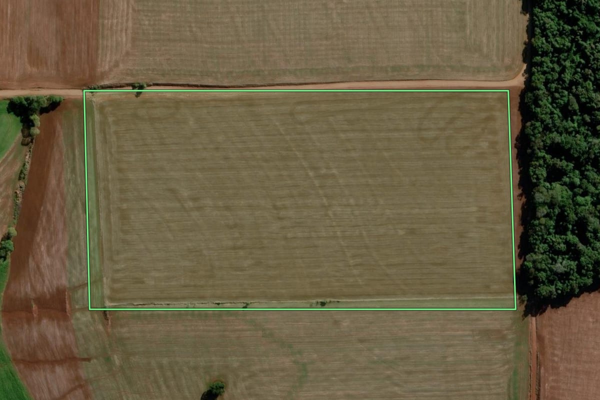 Imagem de satélite do imóvel rural em Bozano (RS), com o contorno declarado no CAR desenhado por cima.