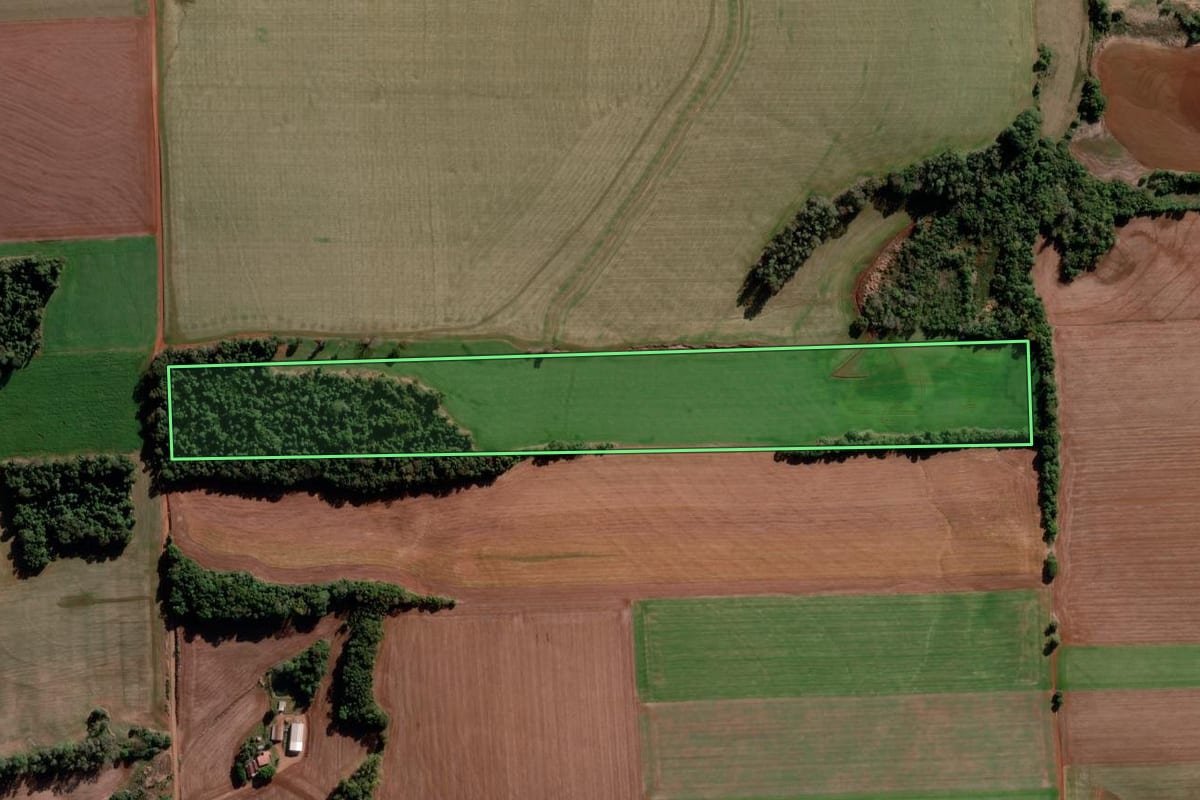 Imagem de satélite do imóvel rural em Bozano (RS), com o contorno declarado no CAR desenhado por cima.