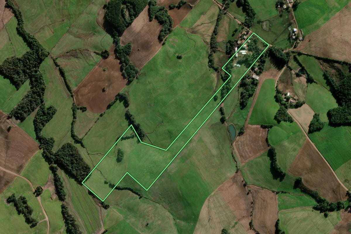 Imagem de satélite do imóvel rural em Bozano (RS), com o contorno declarado no CAR desenhado por cima.
