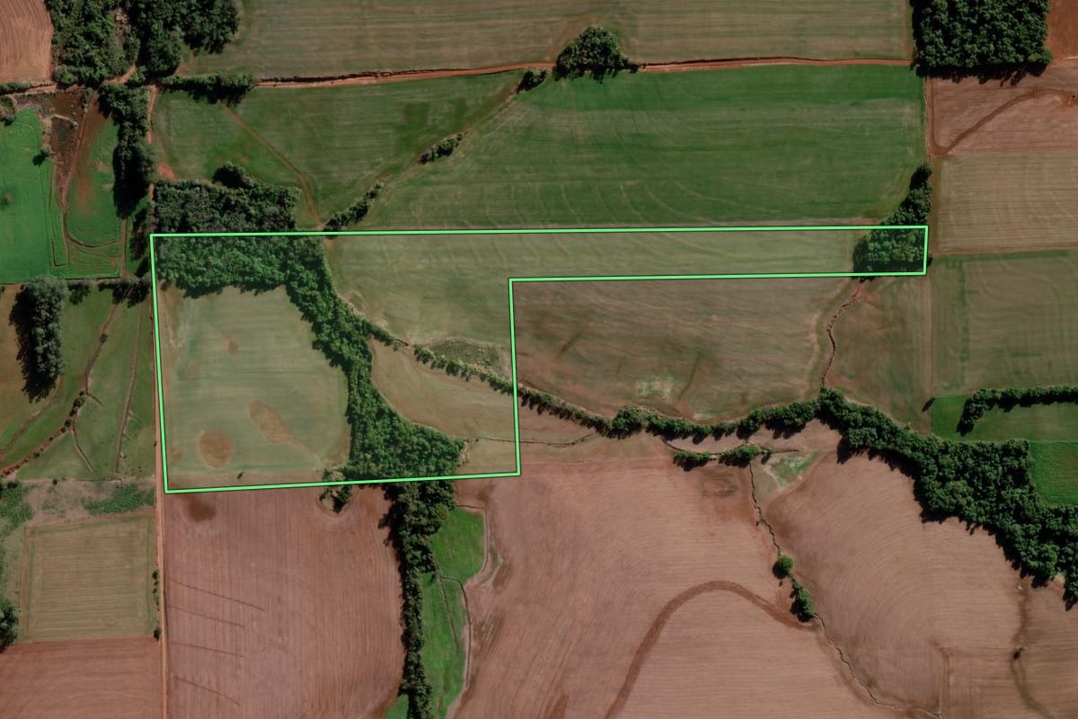 Imagem de satélite do imóvel rural em Bozano (RS), com o contorno declarado no CAR desenhado por cima.